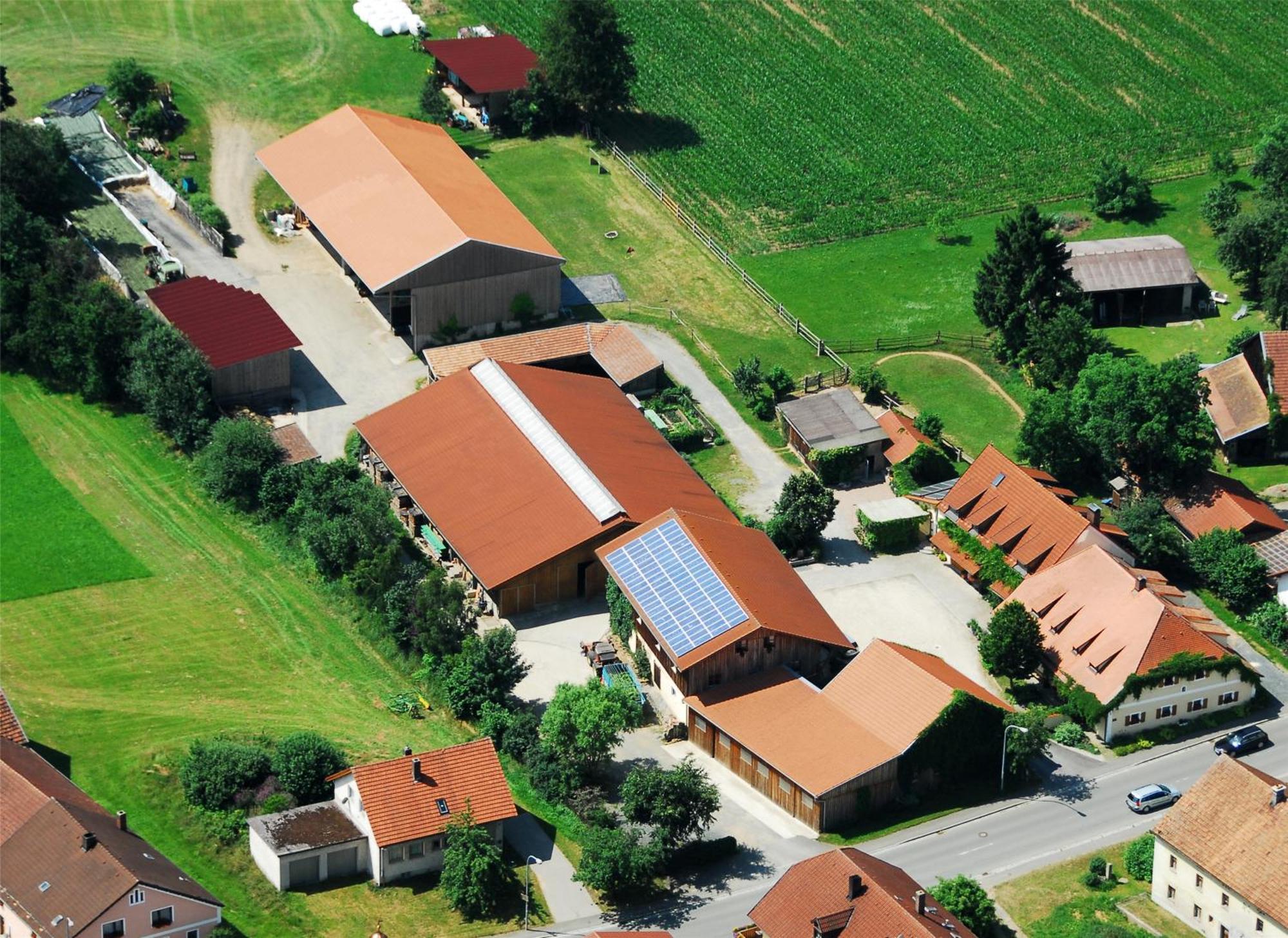 Landhotel Grosseiberhof Waldmünchen Eksteriør billede
